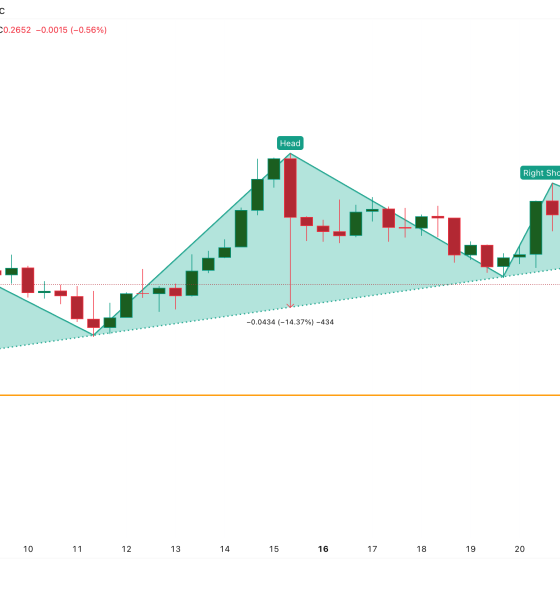 Cardano Breakdown Triggered