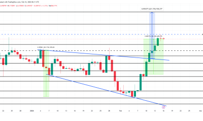 PIPPIN Price Analysis.