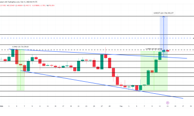 PIPPIN Price Analysis.