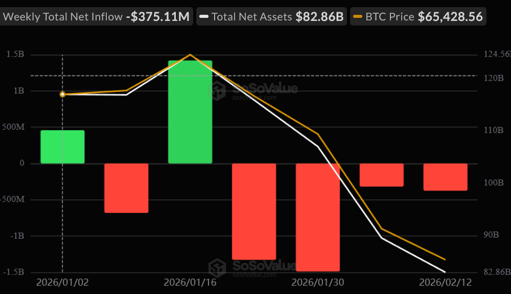 Real Reason Why Bitcoin and Ethereum ETFs are Bleeding Now