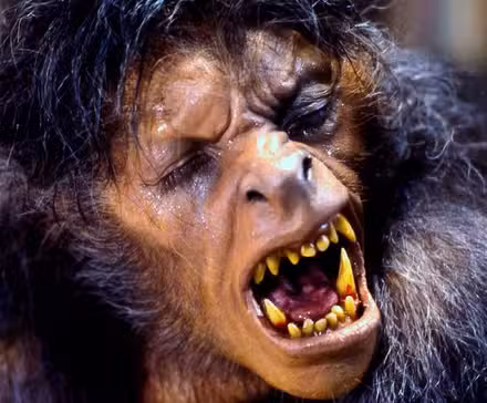 An American Werewolf in London