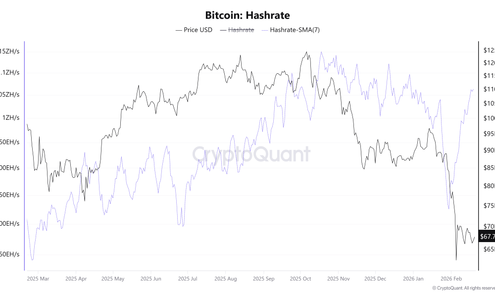 Bitcoin Hashrate. Source: CryptoQuant.