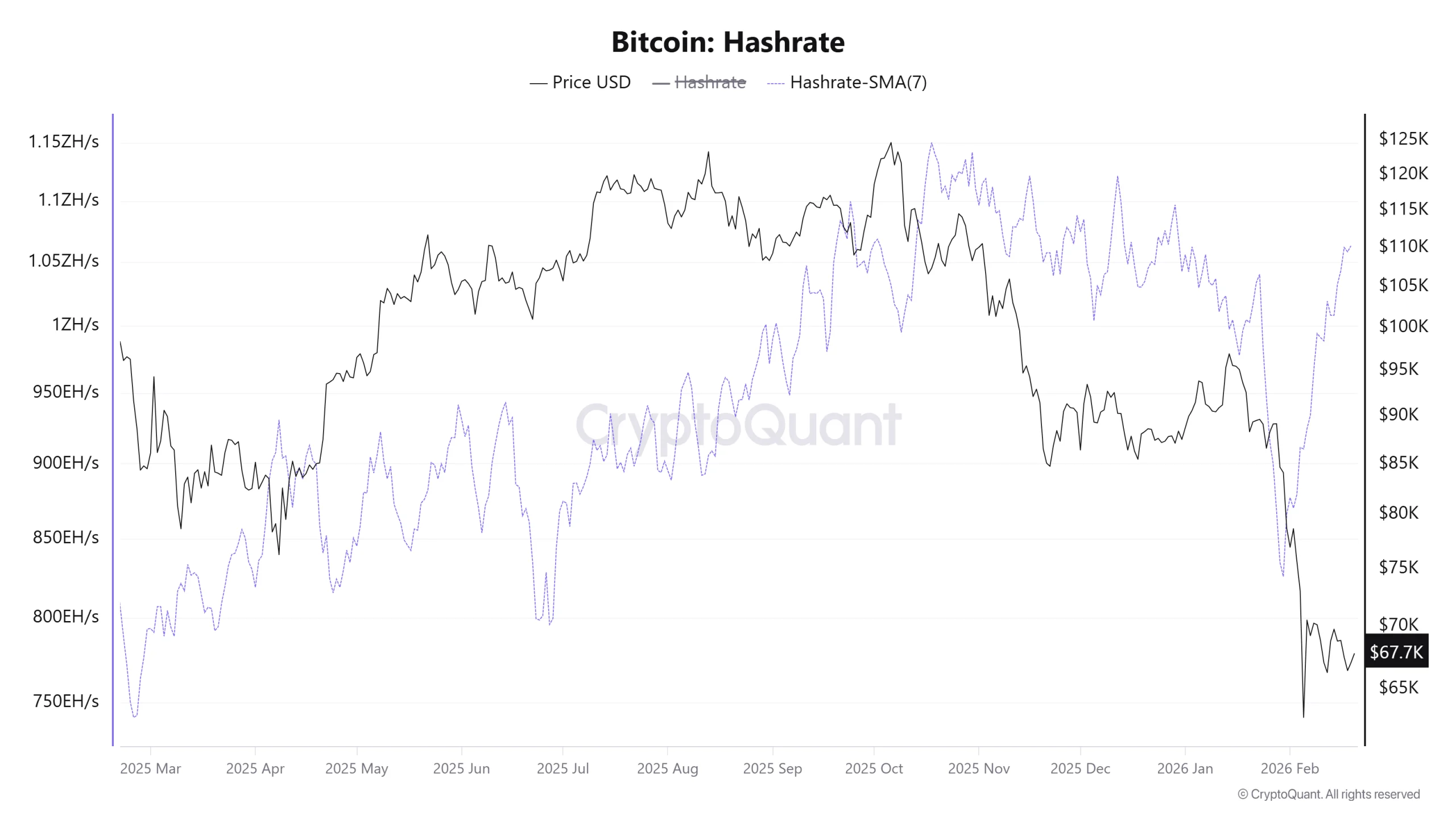 Bitcoin Hashrate. Source: CryptoQuant.