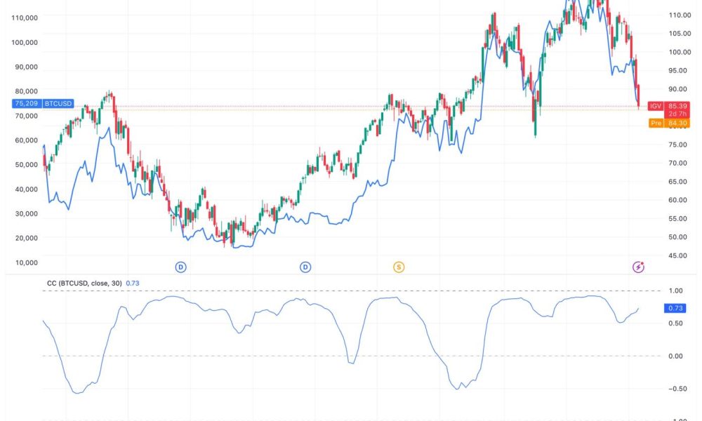 BTC might just be another software name, and that's bad news