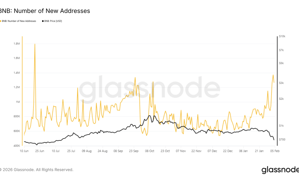 BNB New Addresses