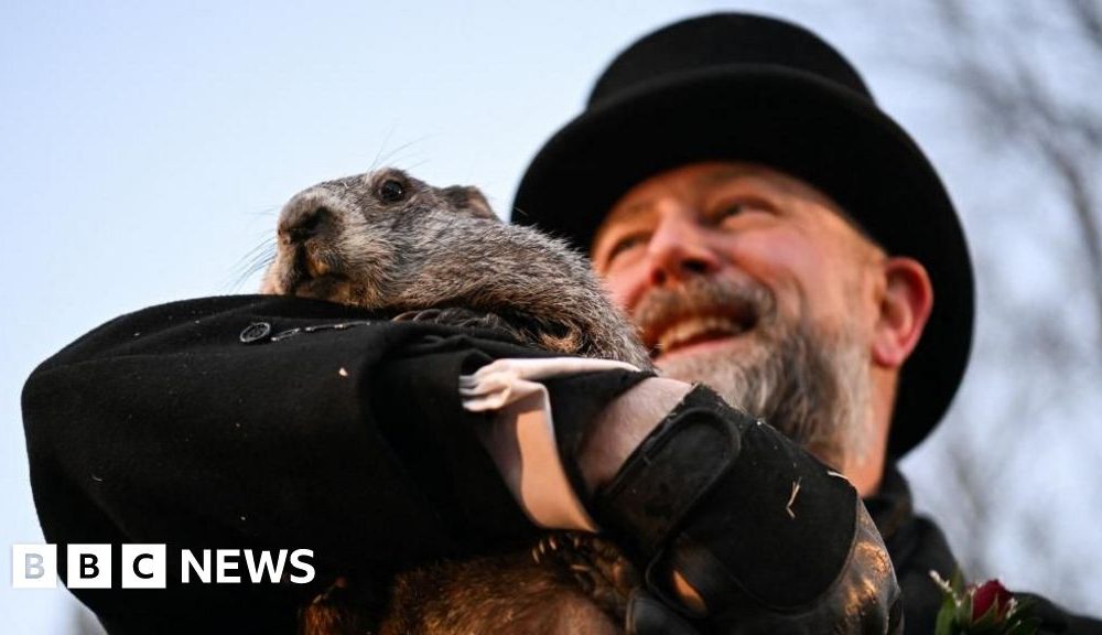 Punxsutawney Phil emerges for Groundhog Day