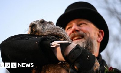 Punxsutawney Phil emerges for Groundhog Day