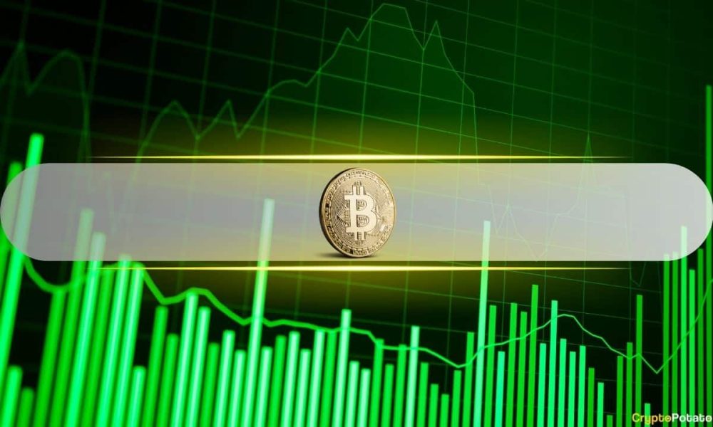 Bitcoin Trading at 41% Discount, Power-Law Model Shows $122K Fair Value
