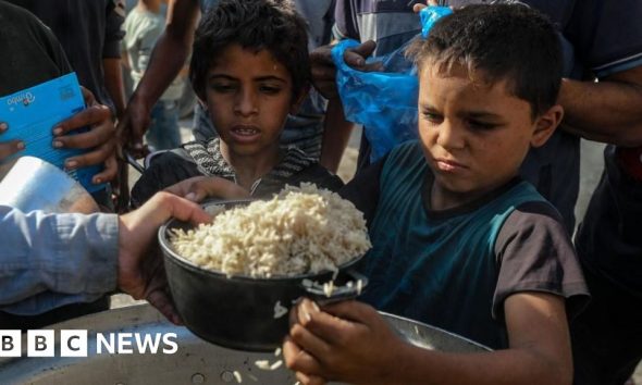 Aid groups in Gaza and West Bank thrown lifeline as Israel court pauses ban threat