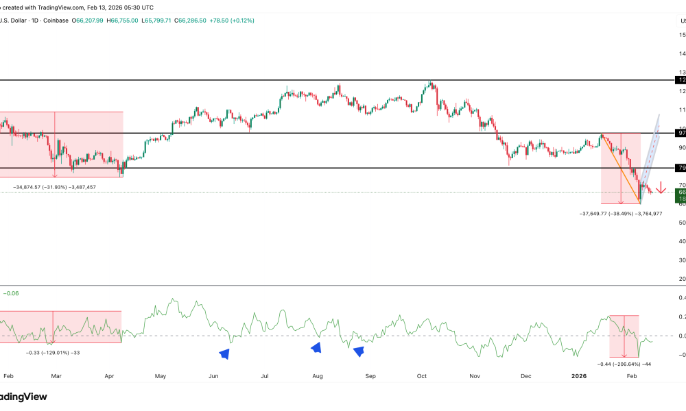 Historical BTC Flows