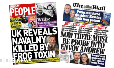 'Navalny killed by frog toxin' and 'Probe into envoy Andrew'