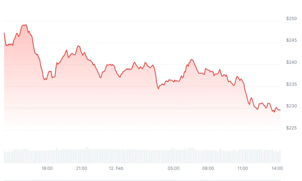 Zcash faces potential 66% decline as large holders reduce stakes by 38% - 2