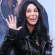 Cher at Los Angeles Premiere Of Focus Features' 'The Bikeriders'