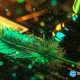 Robinhood chain testnet records 4M transactions in first week, CEO says