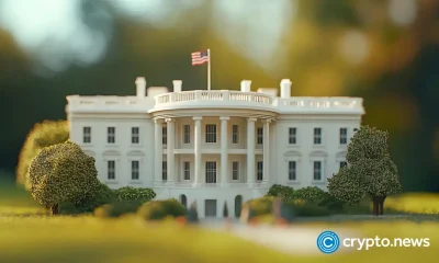 Crypto bros feel the burn