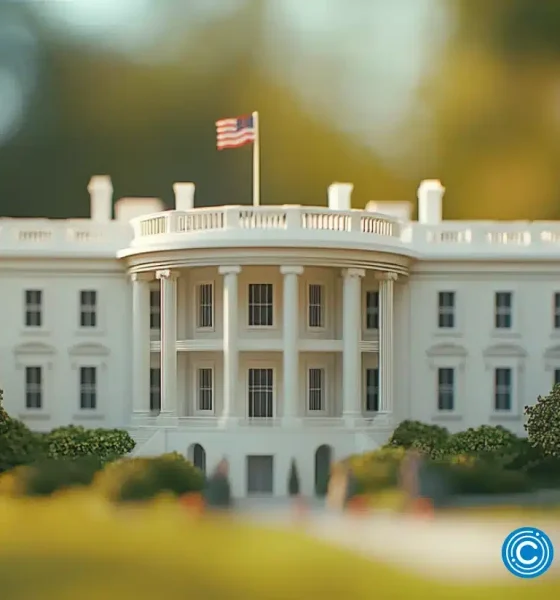 Crypto bros feel the burn