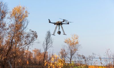 Patrolling the silent perimeter