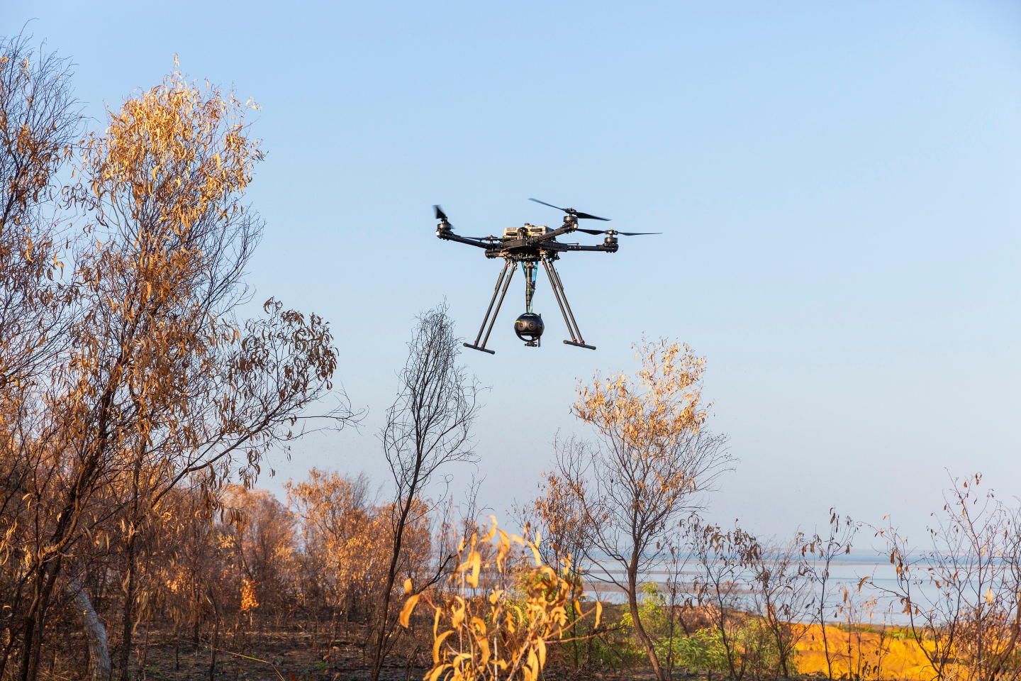 Patrolling the silent perimeter