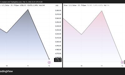 Gold and Silver Price Performance