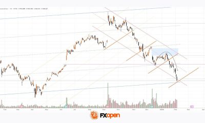 Oracle (ORCL) Shares Fall Below $150