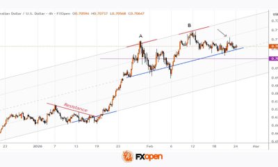 Analysis of AUD/USD Ahead of Key Data Release