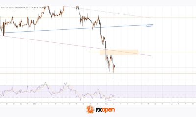 Bitcoin Price Falls to a New Low