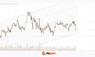 Nvidia (NVDA) Shares Fall to a Year-to-Date Low