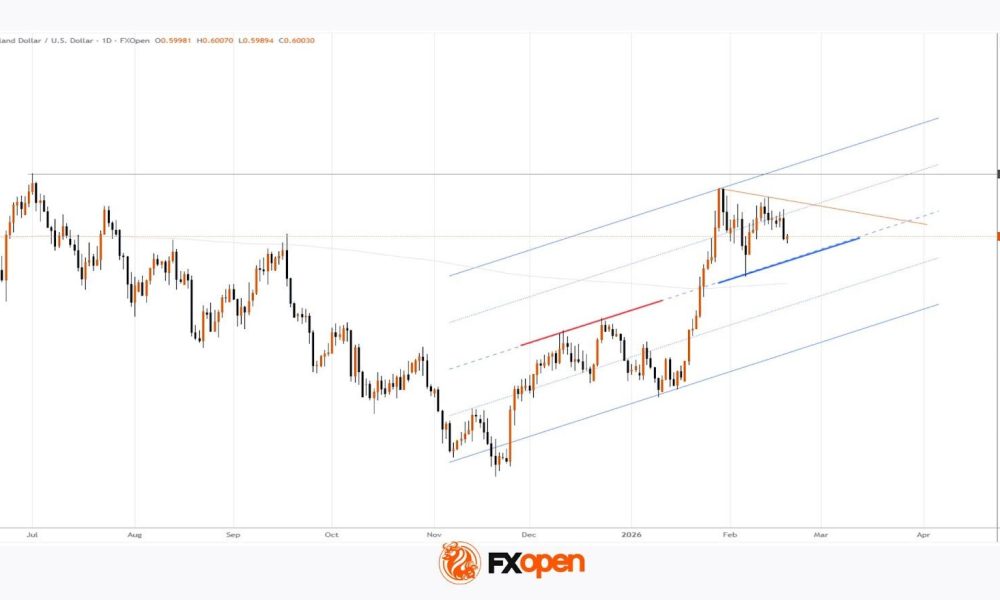 New Zealand Dollar Weakens After Central Bank Decision