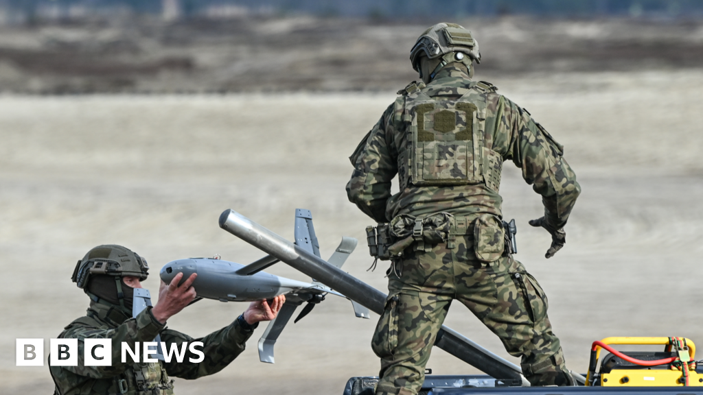 UK agrees drone defence plan with four EU allies