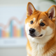 Dogecoin faces $0.15 test