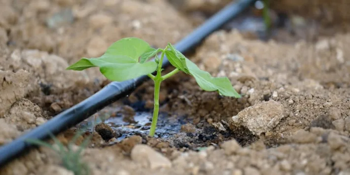 Summer surge in HTA’s water resilience campaign