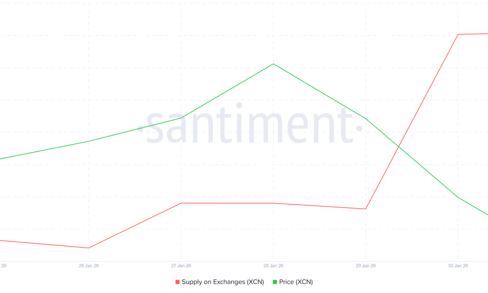 XCN Exchange Balance