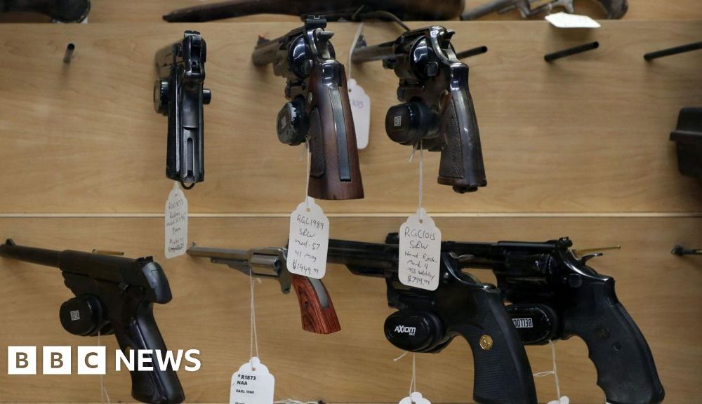What are Canada's gun ownership laws?