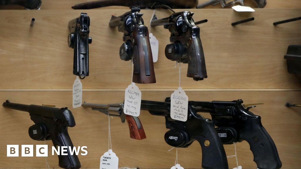 What are Canada's gun ownership laws?