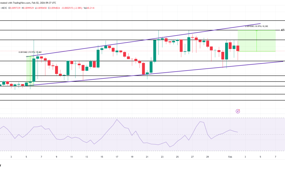 RAIN Price Analysis.