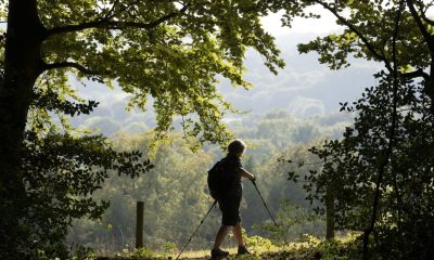 No, the English countryside is not ‘too white’