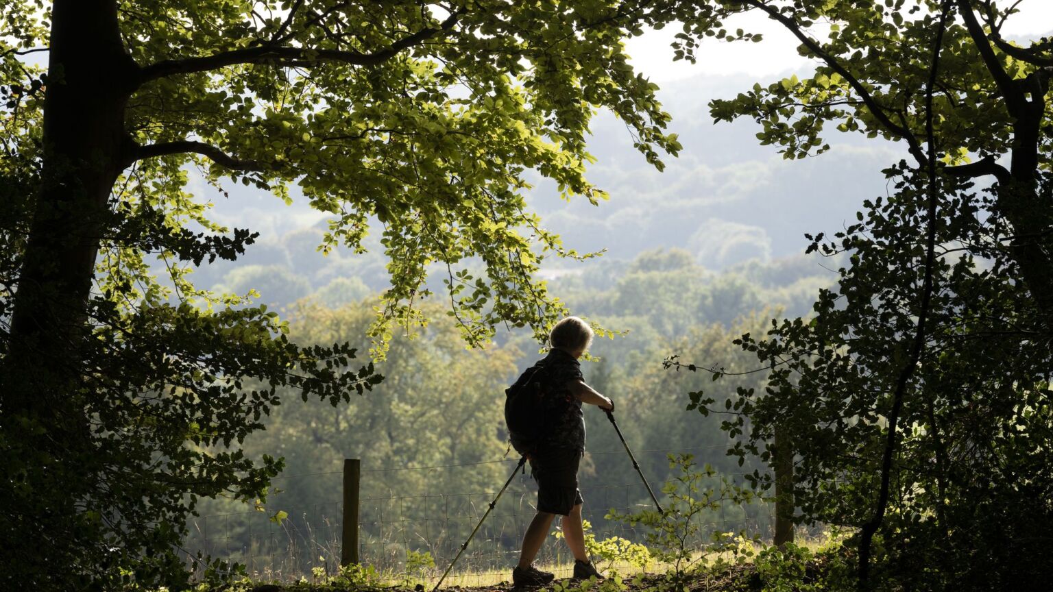 No, the English countryside is not ‘too white’