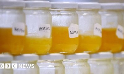 Why food fraud persists, even with improving tech