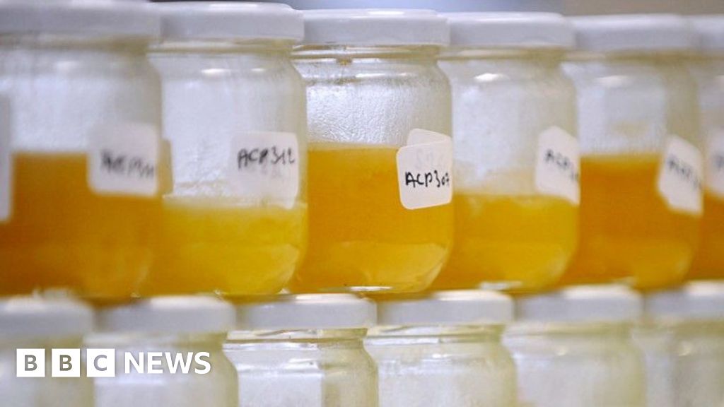 Why food fraud persists, even with improving tech