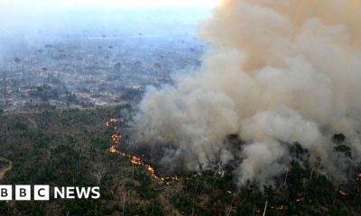 Businesses face extinction unless they protect nature, major report warns