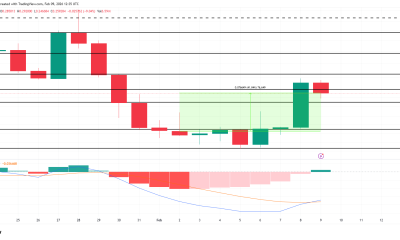 PIPPIN Price Analysis.
