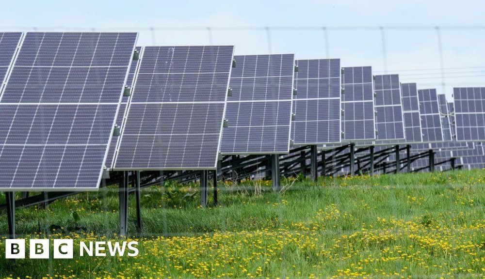 More solar farms on the way after record renewables auction