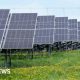 More solar farms on the way after record renewables auction
