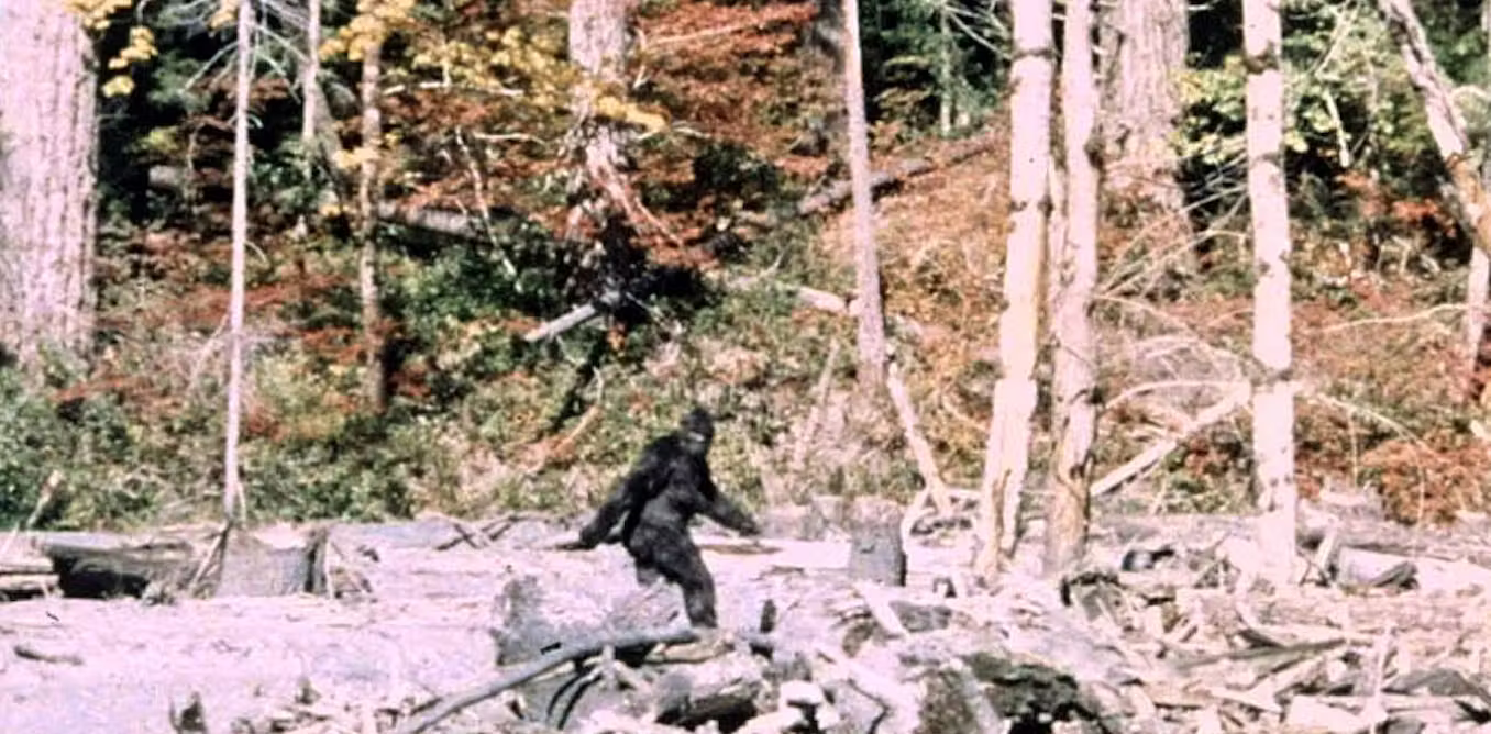meet the researchers who’ve interviewed 130 Bigfoot hunters