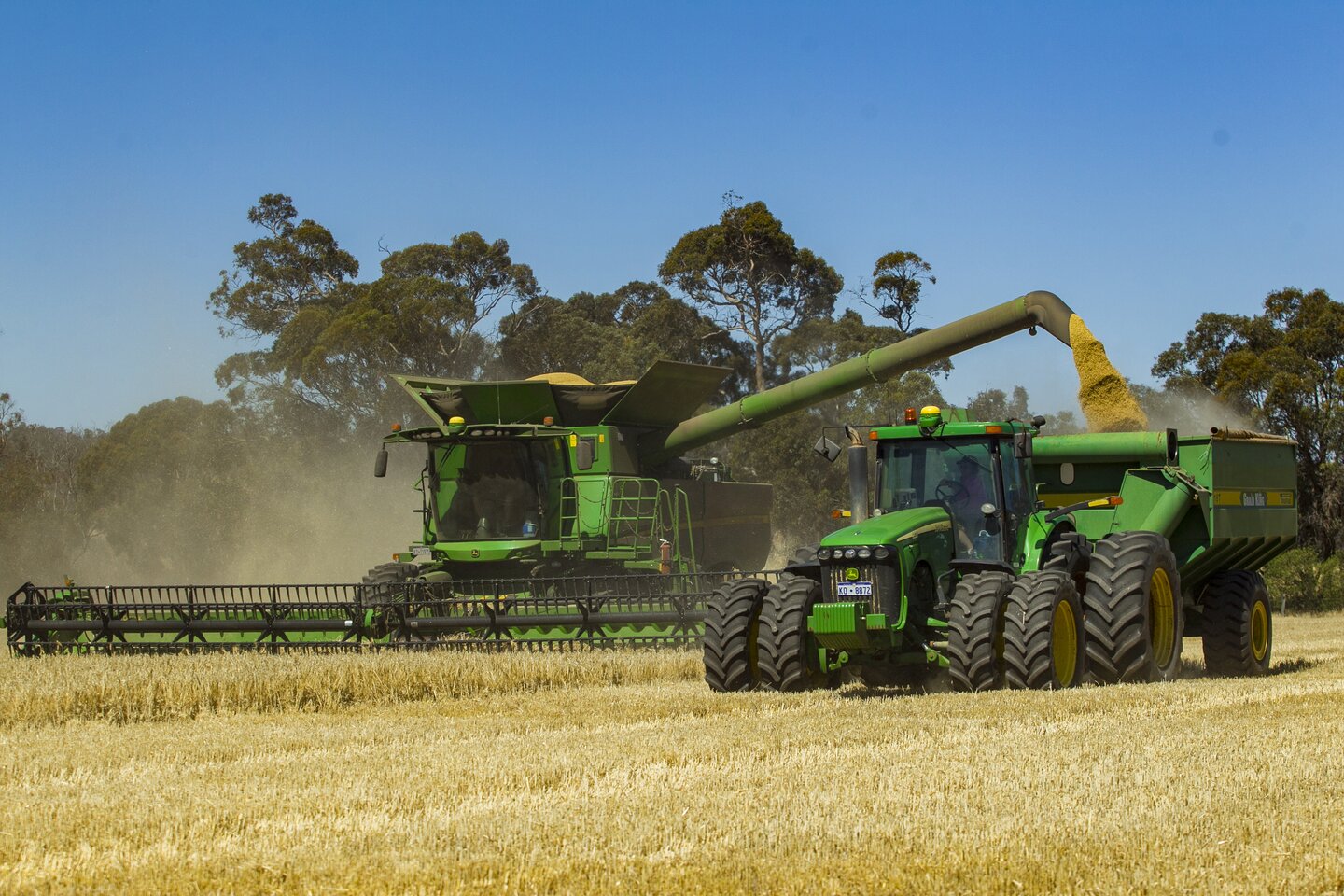 Grain record confirmed as WA crop production tops 27m