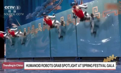 Humanoid Robots Steal the Show at Spring Festival Gala