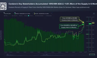 Cardano price outlook as sharks & whales quietly scoop up 819M ADA - 1