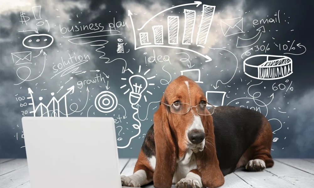 Datadog: AI Isn't The Main Problem