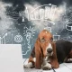 Datadog: AI Isn't The Main Problem