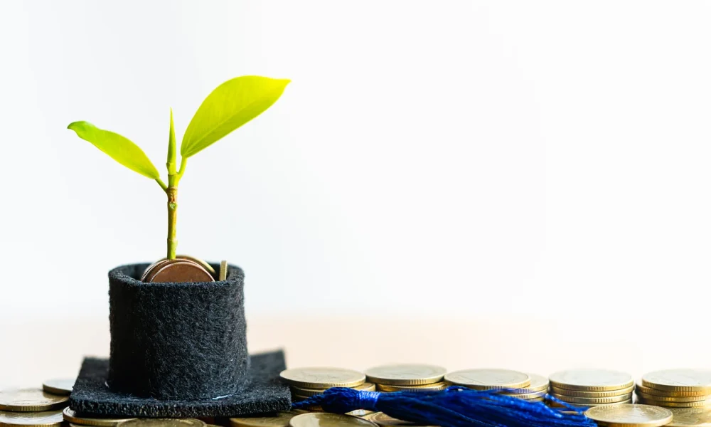 Diamond Hill Small Cap Strategy Q4 2025 Commentary